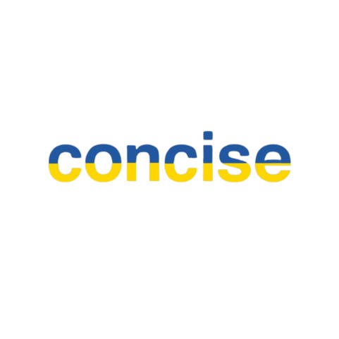 concise logo